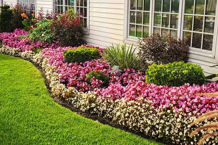 flower beds 2 750